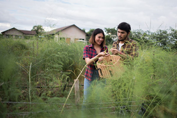 Lorem ipsum dolor sit amet consectetur adipisicing elit 9